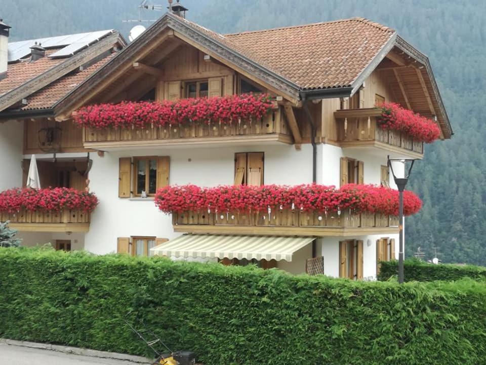 Appartamento Mansarda Patrizia E Franco Val Di Sole Коммеццадура Экстерьер фото