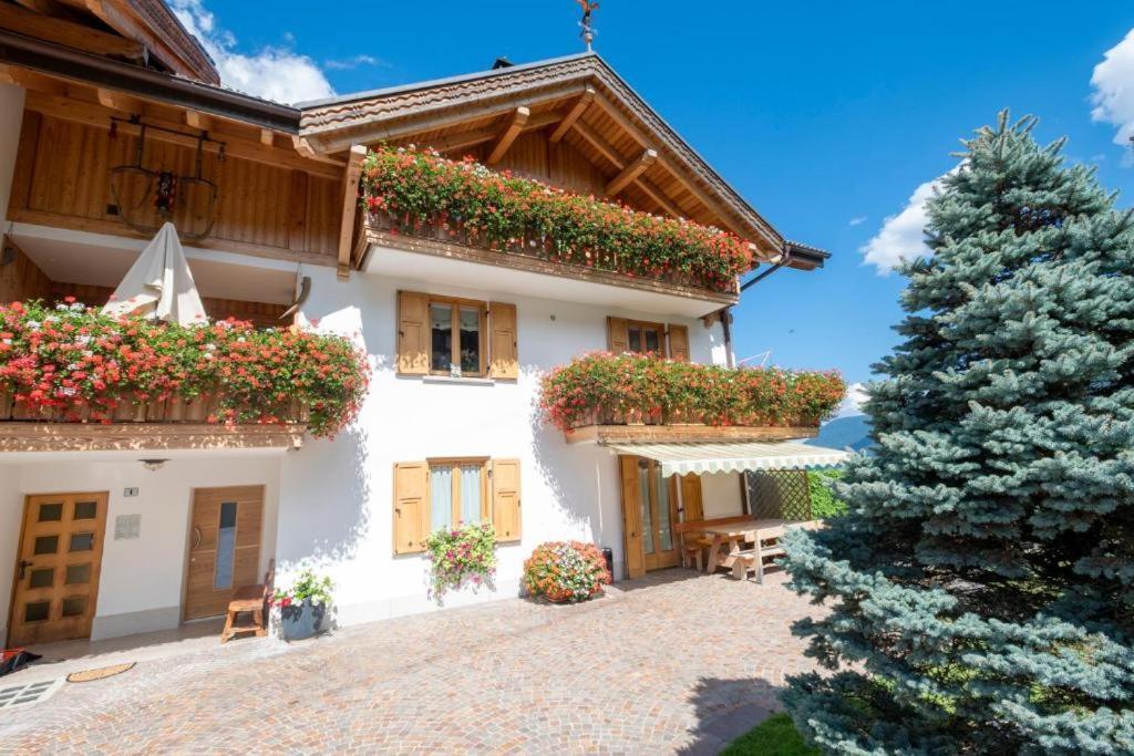 Appartamento Mansarda Patrizia E Franco Val Di Sole Коммеццадура Экстерьер фото