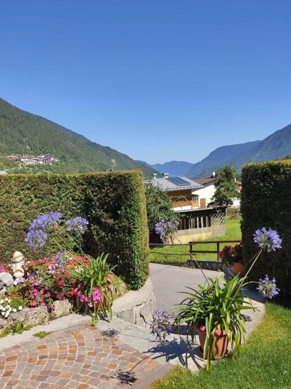 Appartamento Mansarda Patrizia E Franco Val Di Sole Коммеццадура Экстерьер фото