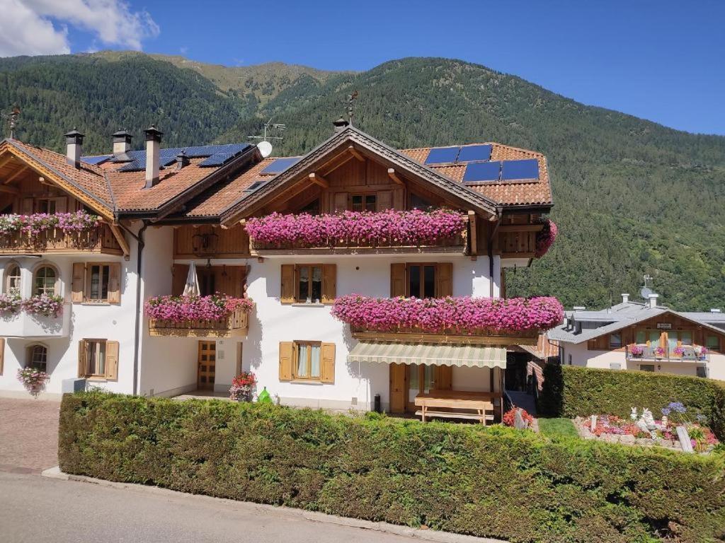 Appartamento Mansarda Patrizia E Franco Val Di Sole Коммеццадура Экстерьер фото